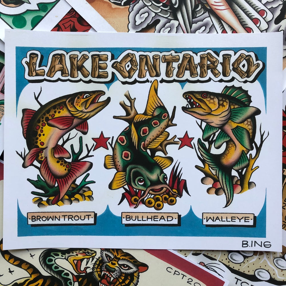 Lake Ontario Fish Chart